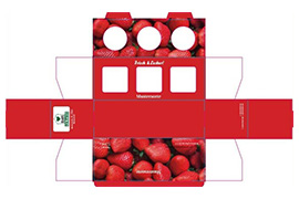 Umverpackung eine Sorte 3er 53ml