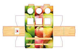 Umverpackung Fruchthintergrund 3er 53ml