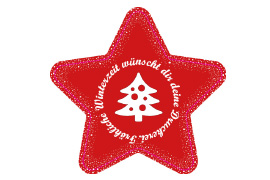 Sternetikett Schneeflockenrand 056-053